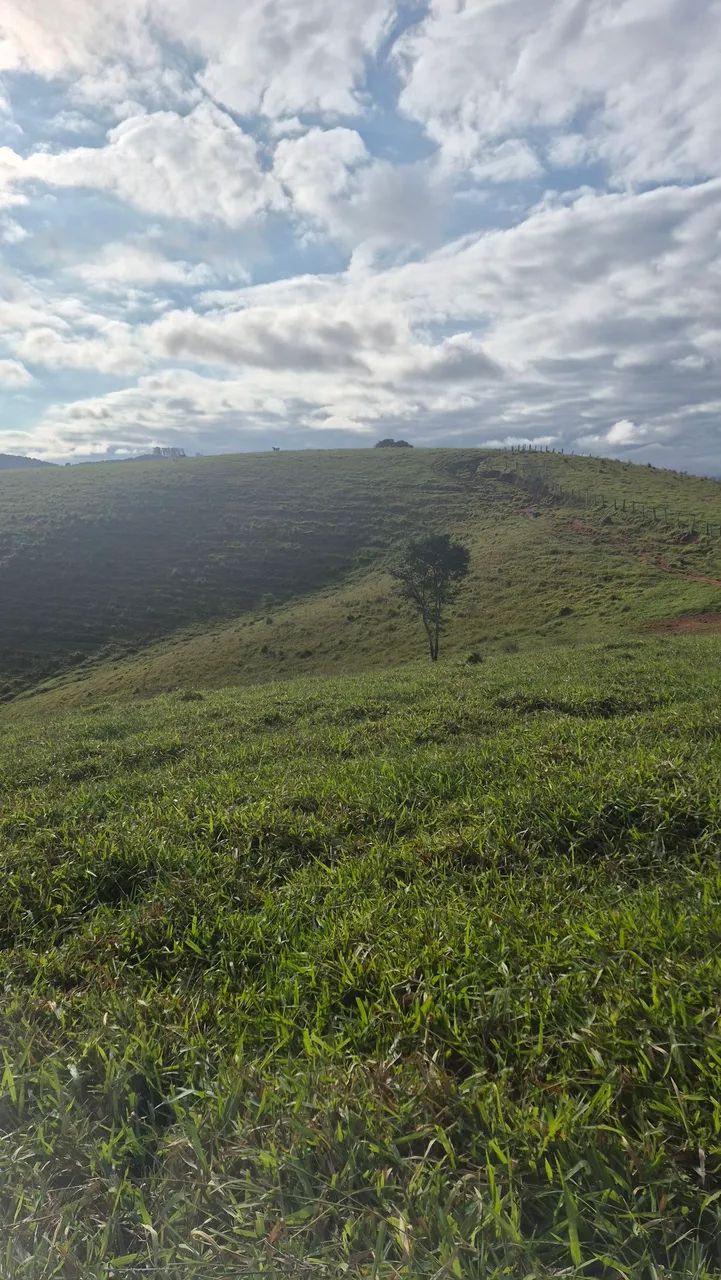 Sítio a partir de 20.000mts Paraibuna SP - Foto 2