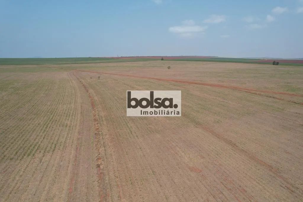 FAZENDA ARRENDADA CANA AÇUCAR - Foto 5