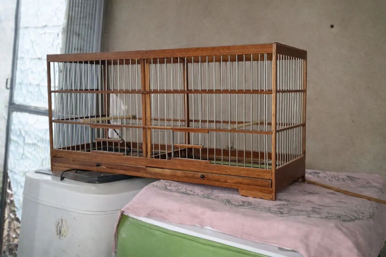 Gaiola trinta ferro 