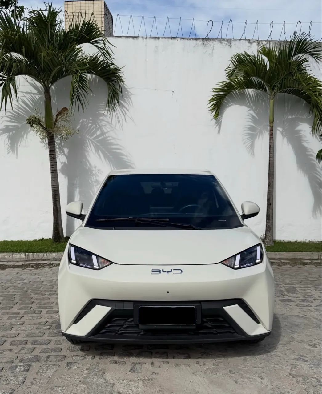 BYD Dolphin Mini (Elétrico) 2026 - Foto 4