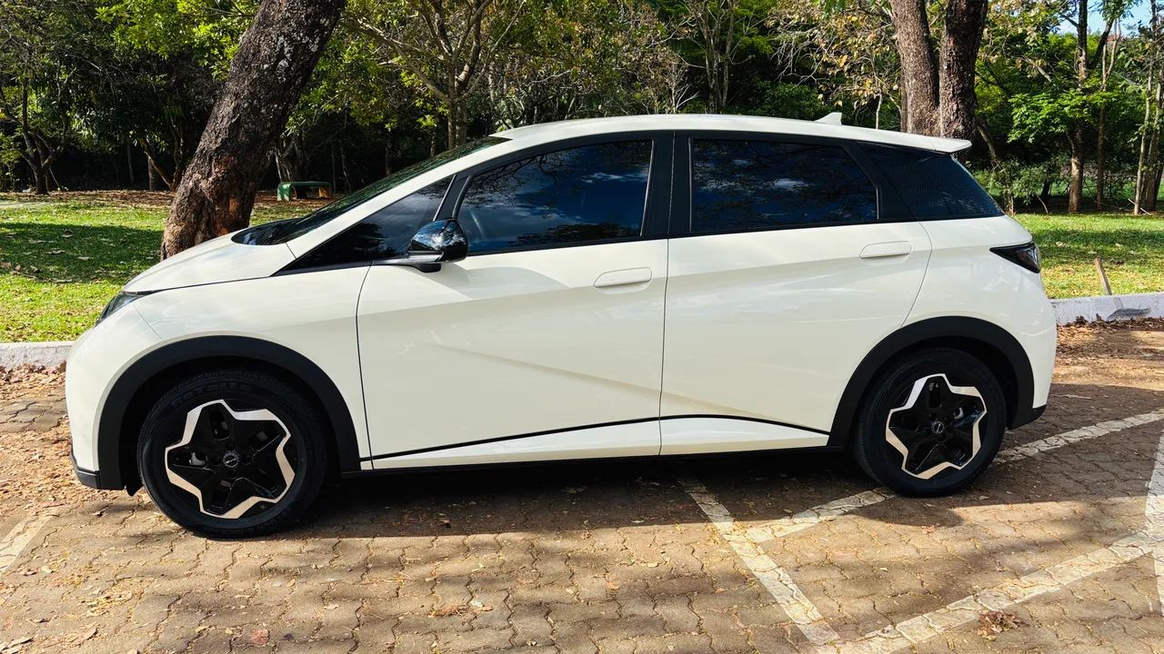BYD Dolphin EV (Elétrico) 2024 - Foto 2