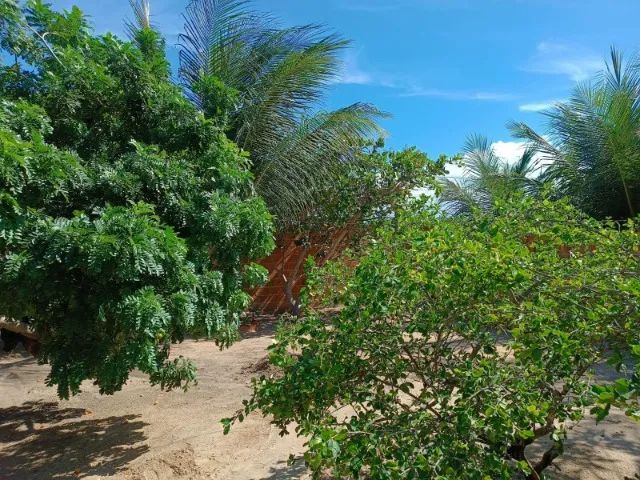 VENDO CASA NO FORTIM - CEARÁ - Foto 4