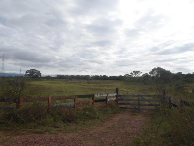 Fazenda na estrada parque de corumba ms - Foto 7