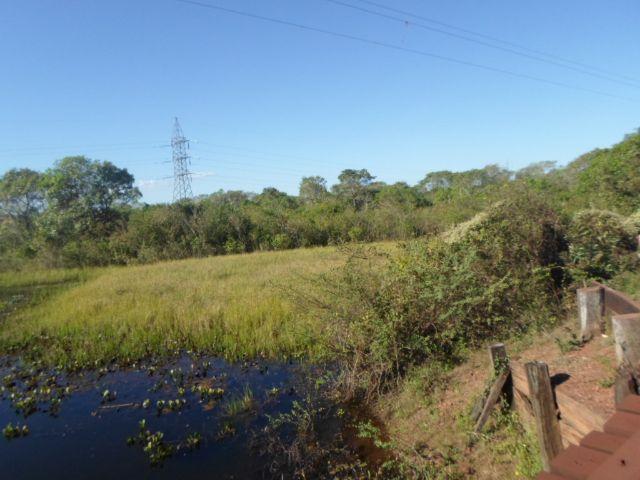 Fazenda na estrada parque de corumba ms - Foto 5