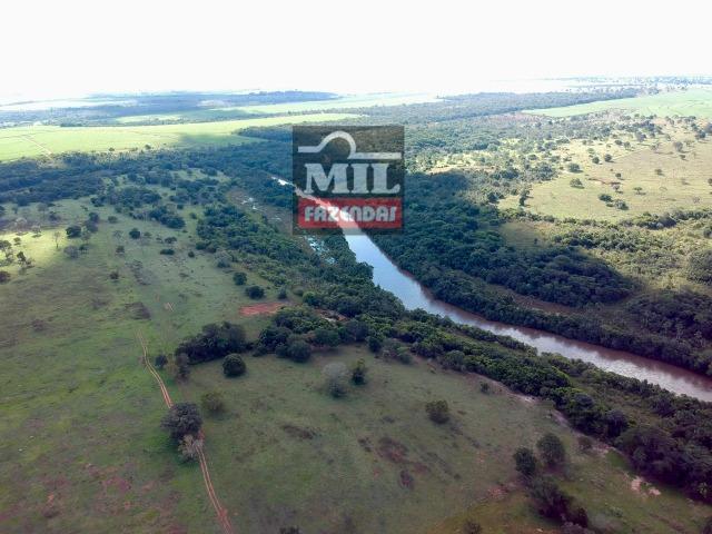 Fazenda Dupla Aptidão Sudoeste Goiano total 226 Alqueires ( 1.093 hectares ) Itajá-GO - Foto 11