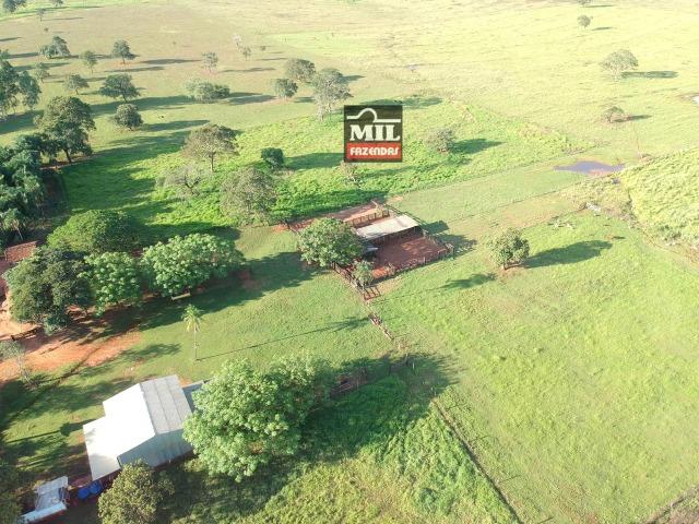 Fazenda dupla apitidão 200 Alqueires ( 968 hectares ) Itajá-GO - Foto 17