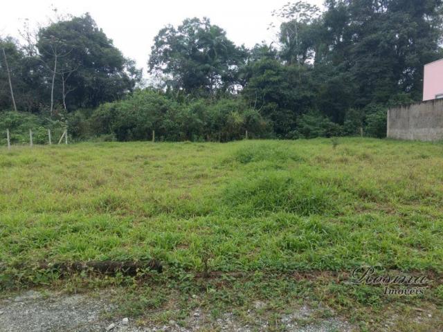 Òtimo terreno próximo ao centro - morretes/paraná - Foto 13