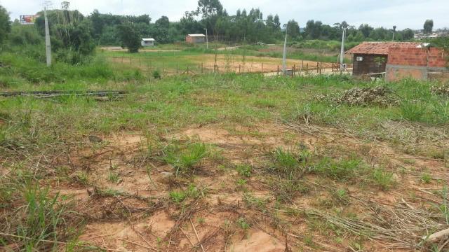 Vende-se lotes em itajuba