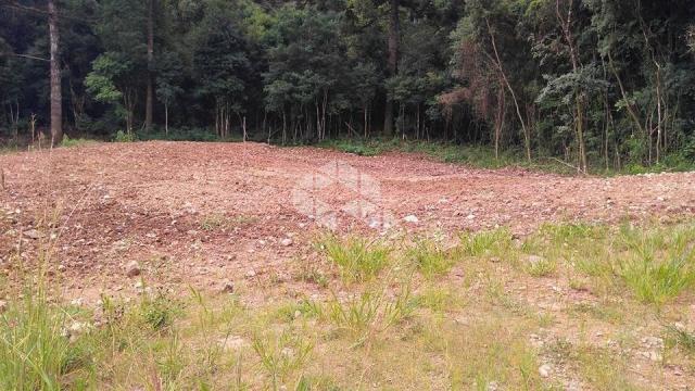 Terreno à venda em Centro, Garibaldi cod:9908614 - Foto 4