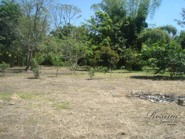 Terreno à venda, 399 m² por r$ 93.000,00 - nucleo do rio pinto - morretes/pr - Foto 20