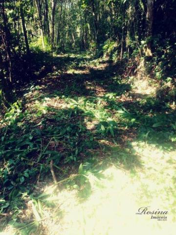 Terreno com 36.300 m² com registro de imóveis de frente para o asfalto - Foto 11