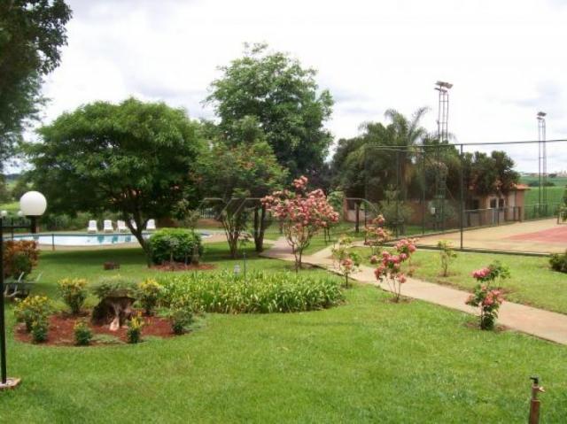 Chácara à venda em Zona rural, Brodowski cod:V133838 - Foto 7