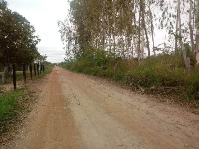 Vendo uma área de 6 hectares distrito, apos o hotel pantanal - Foto 2