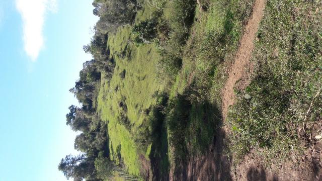 Fazenda 85 alqueres - Foto 12