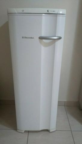Freezer vertical