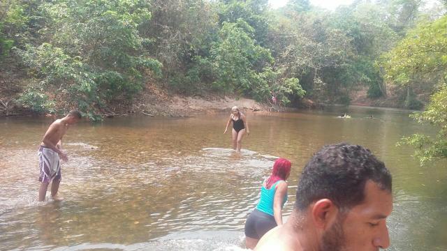 Aguaçu do Distrito da guia - Foto 2