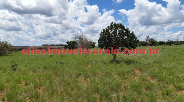 Sítio meio alqueire - Entre Uberlândia e Monte Alegre - Foto 7