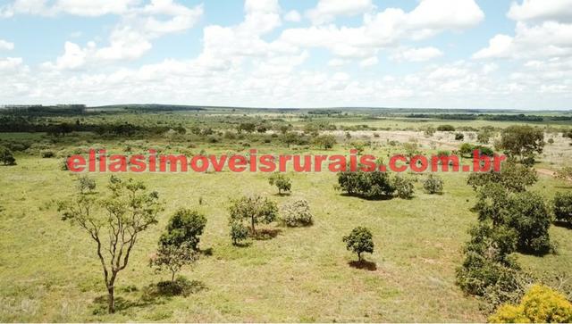 Sítio meio alqueire - Entre Uberlândia e Monte Alegre - Foto 3