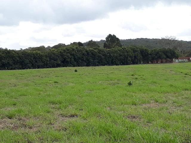 Chegou a hora!! Lotes de 1000 E 2000 MT chama aqui *50 zap iris soares - Foto 8