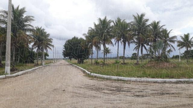 Loteamento com RGI, ciclovia e áreas de esporte e lazer!venha conferir!.02 - Foto 2