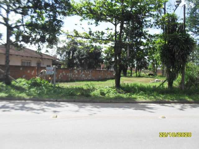 Terreno de 1200m2 - Foto 4