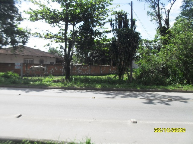 Terreno de 1200m2