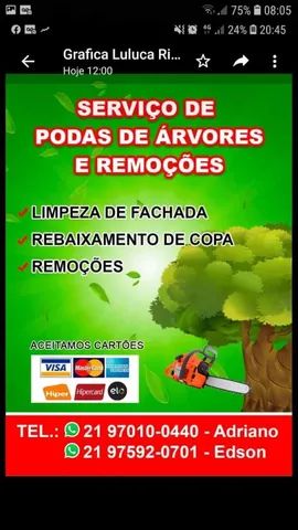 Poda de árvores profissional 
