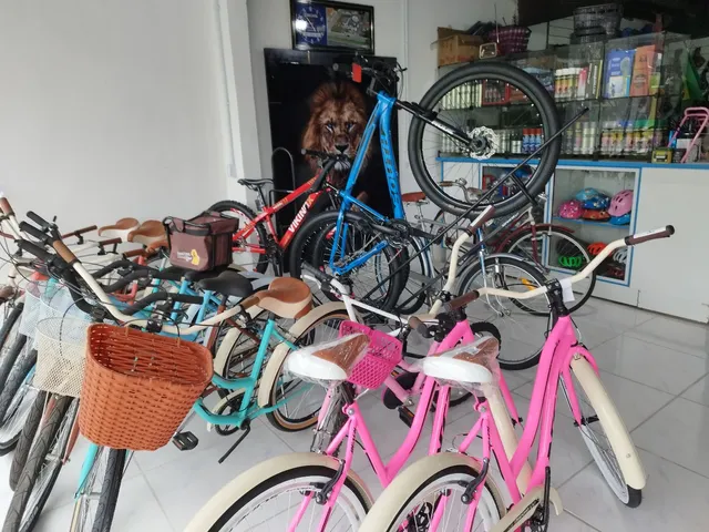 Bike montadinha  +253 anúncios na OLX Brasil