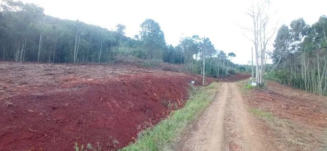 Chácara 21 hectares, valor 300,000,00 avista 
