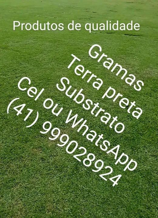 Gramas  - Foto 3