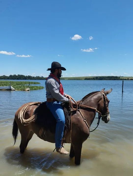 De total confiança marchadera natural, grande pronta.