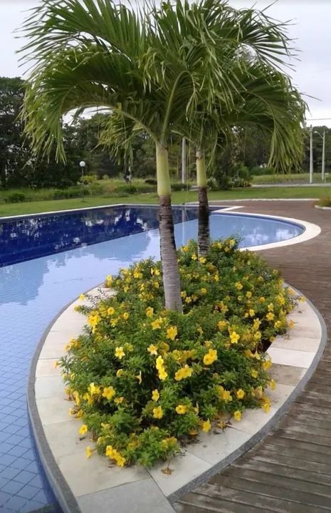 COND. GREEN CLUB PINDORETAMA - Foto 2