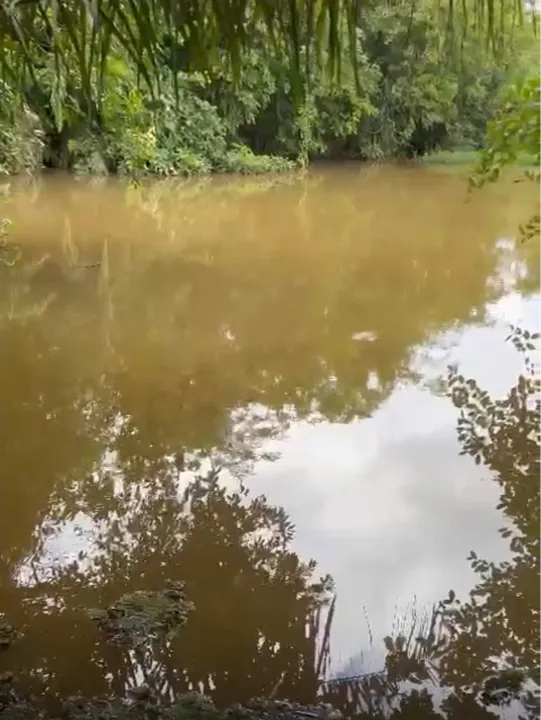 Chácara com 1880m² em área verde