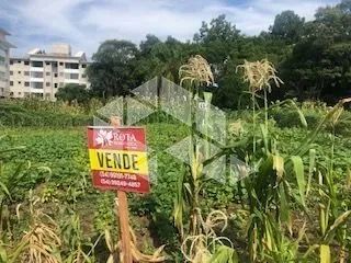 Excelente terreno em bairro nobre - Foto 4
