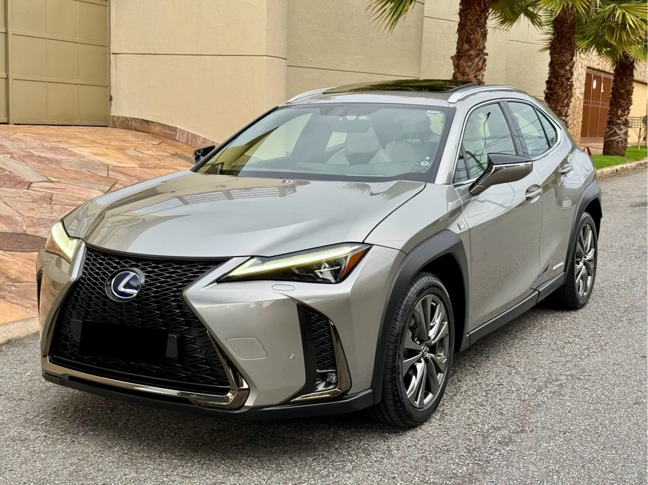 Lexus UX-250H F-sport 2.0 Híbrido 2019