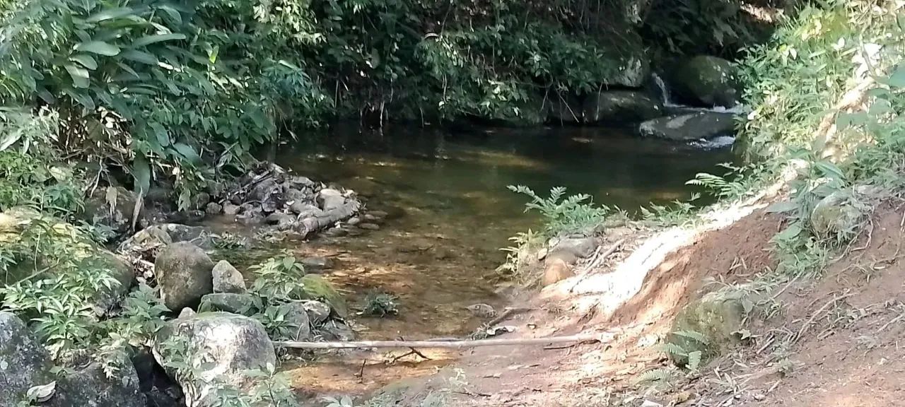 Sítio para venda em Sodrelândia na Região Serrana em Trajano de Morais/RJ, 6,5 Alqueires,  - Foto 2