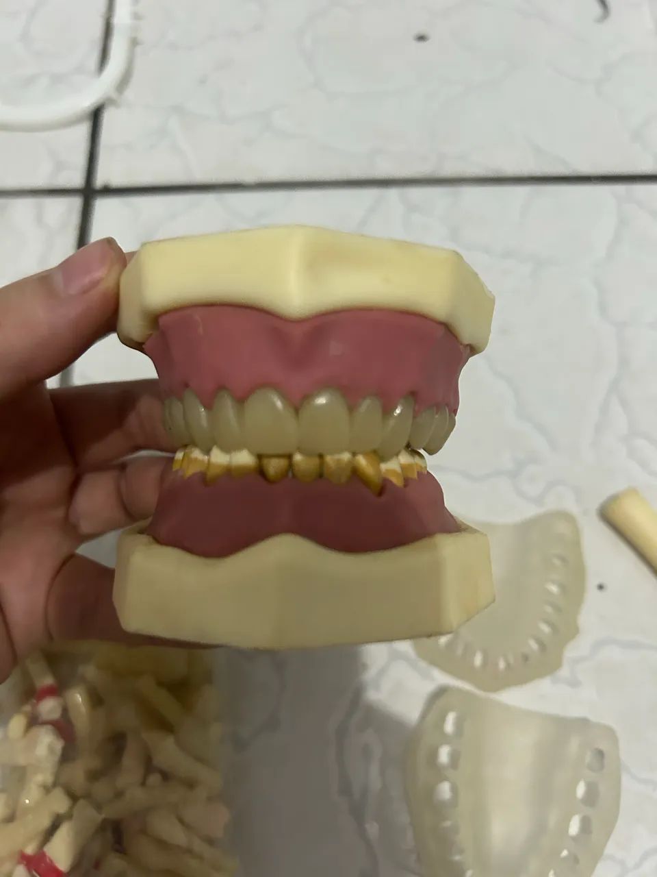 Manequim odontológico  - Foto 2