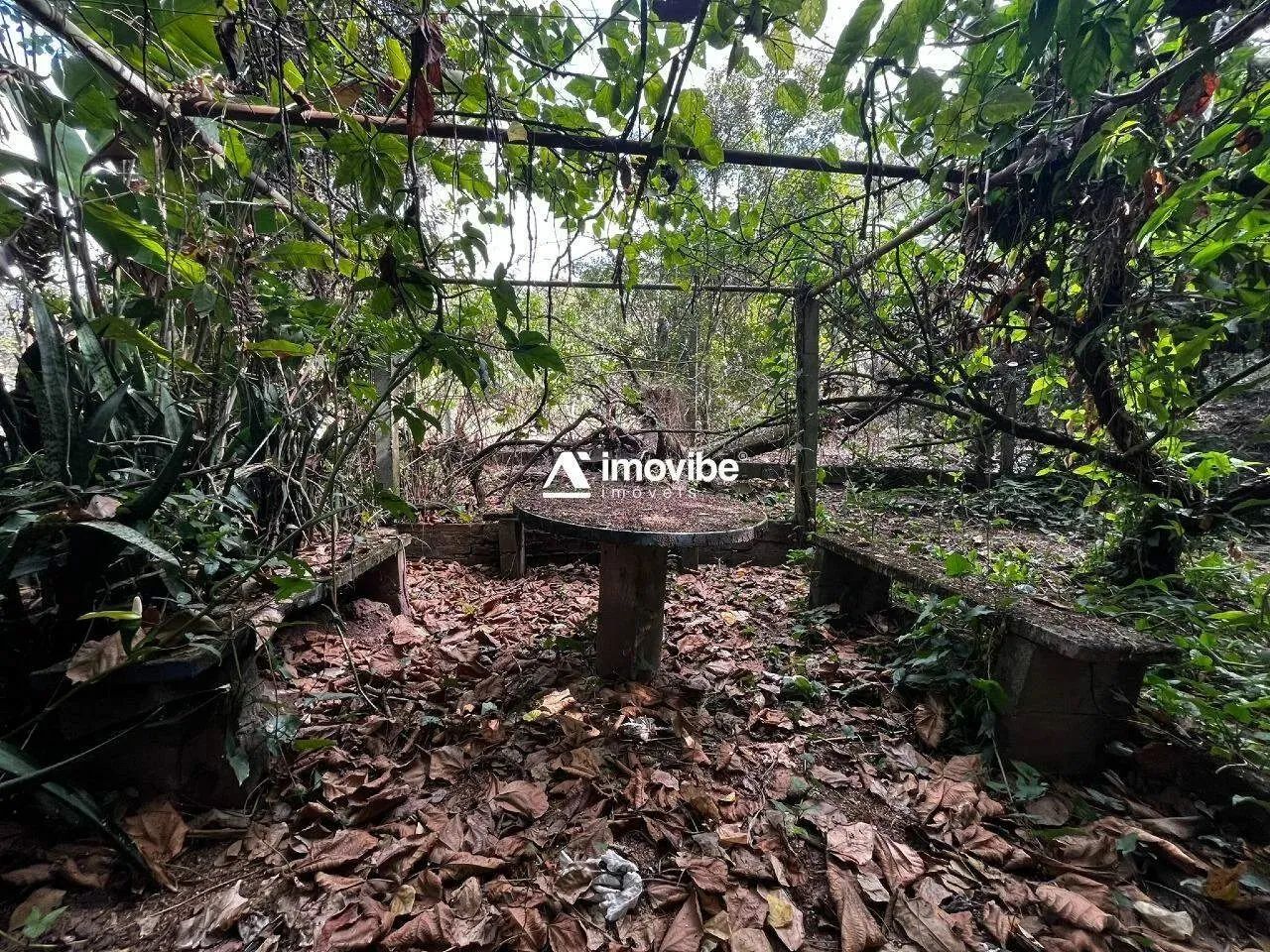 Chácara com 7.000m² com mata natural, casa 3 quartos avarandada, nascente natural - Limeir - Foto 7