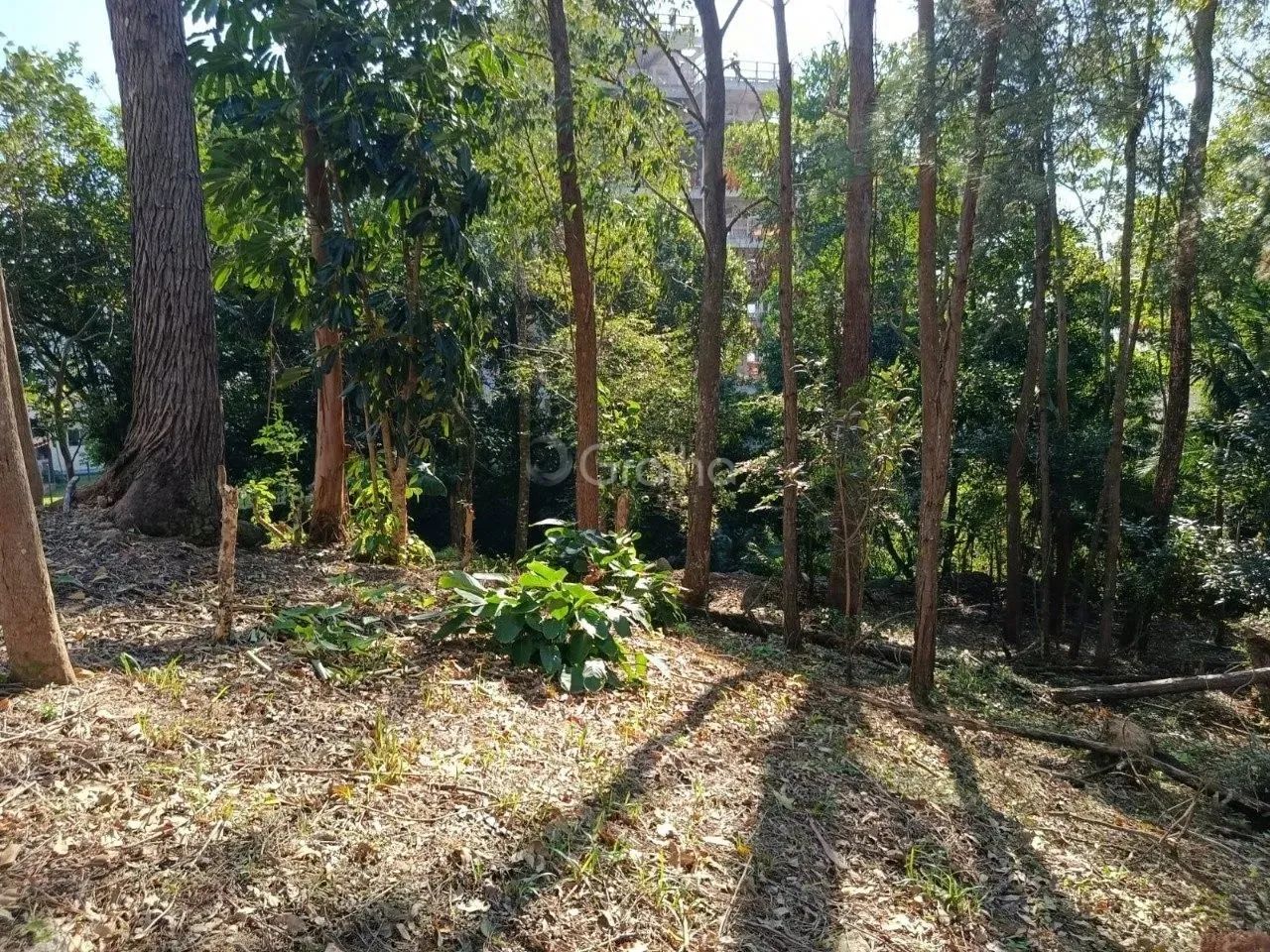 Terreno para Venda em Florianópolis, Pantanal - Foto 5