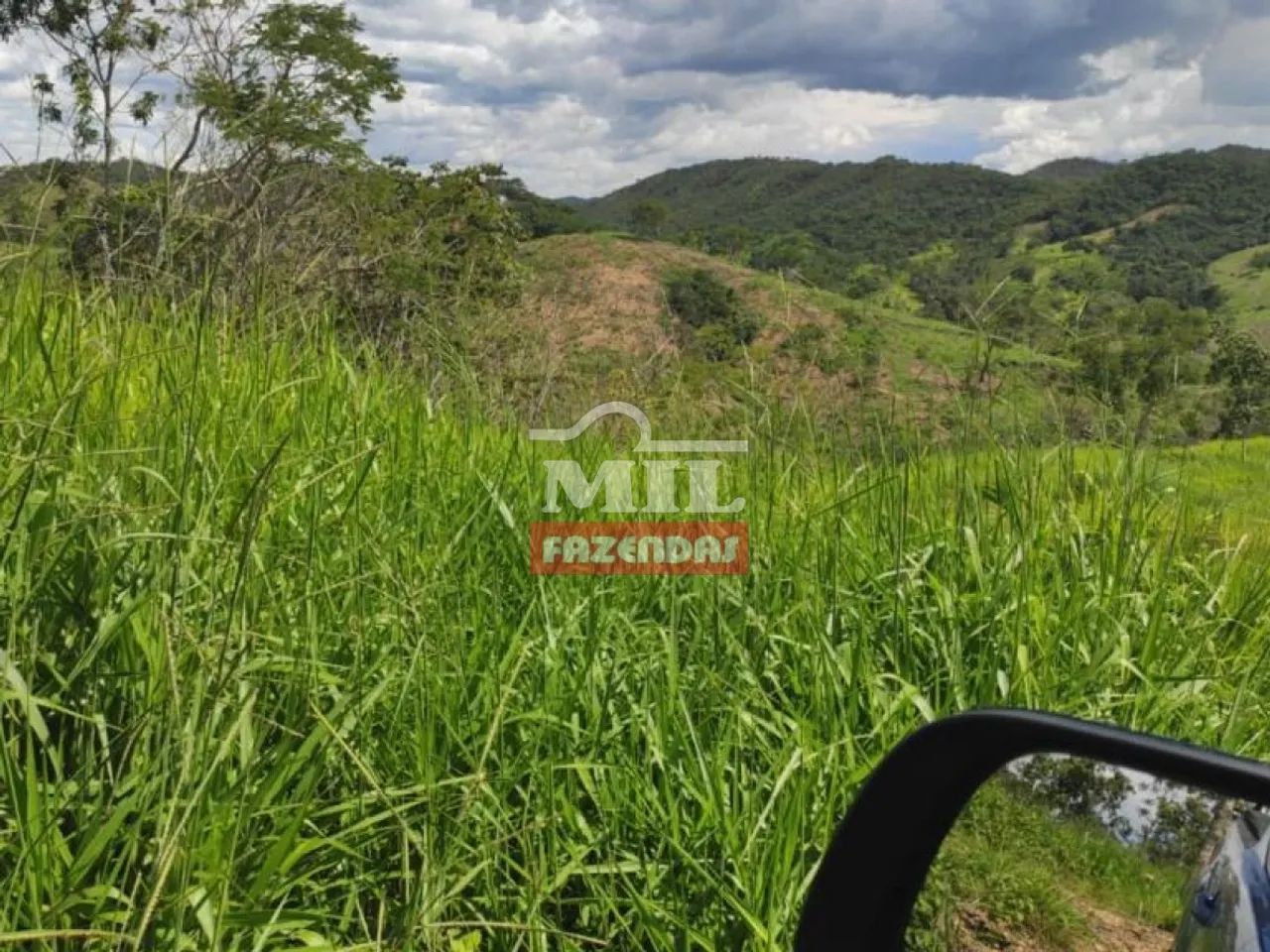 Fazenda de 100 alqueires (484 hectares) em Pires do Rio - GO - Foto 3