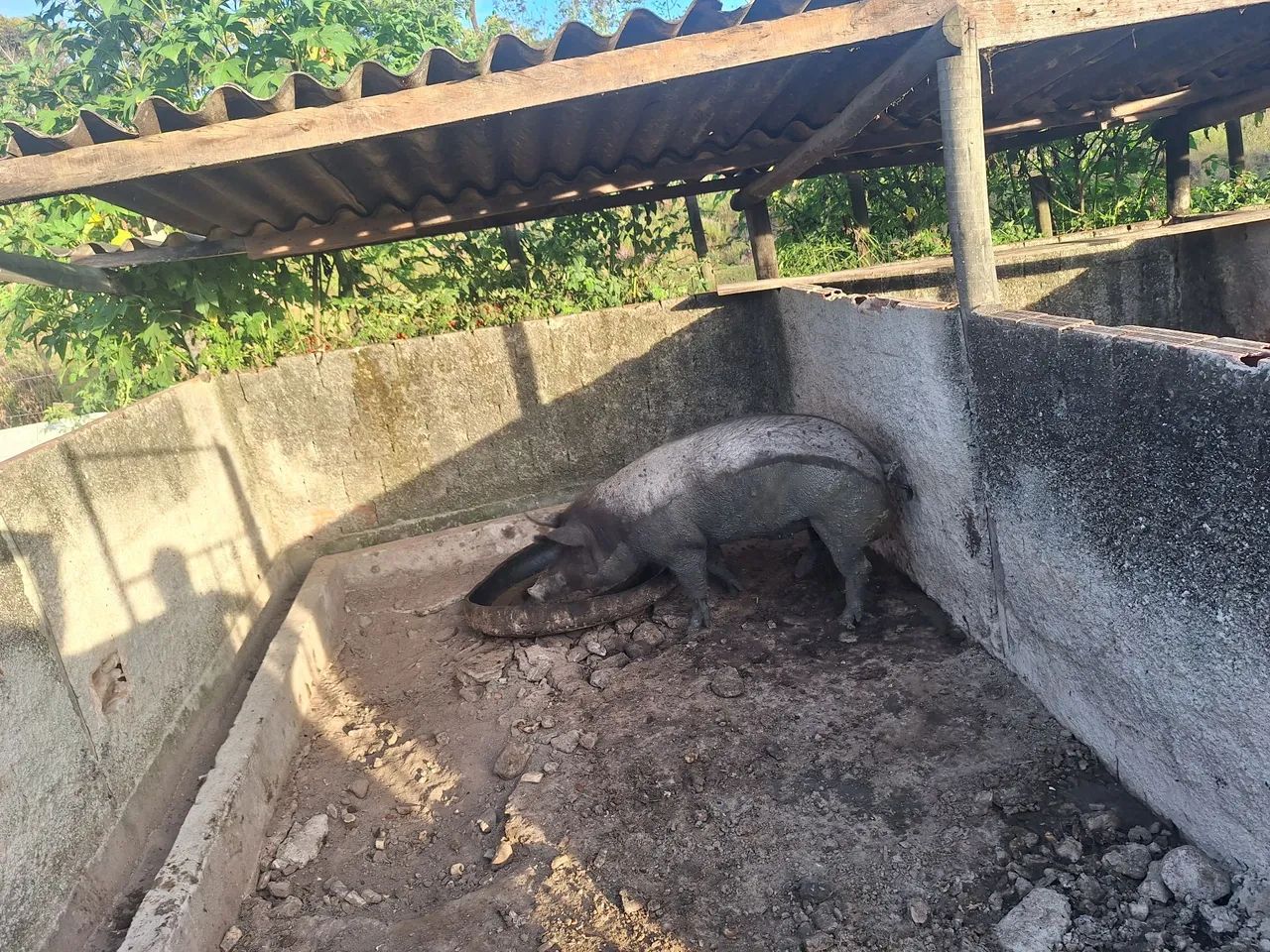 Vende-se um barráo  - Foto 4