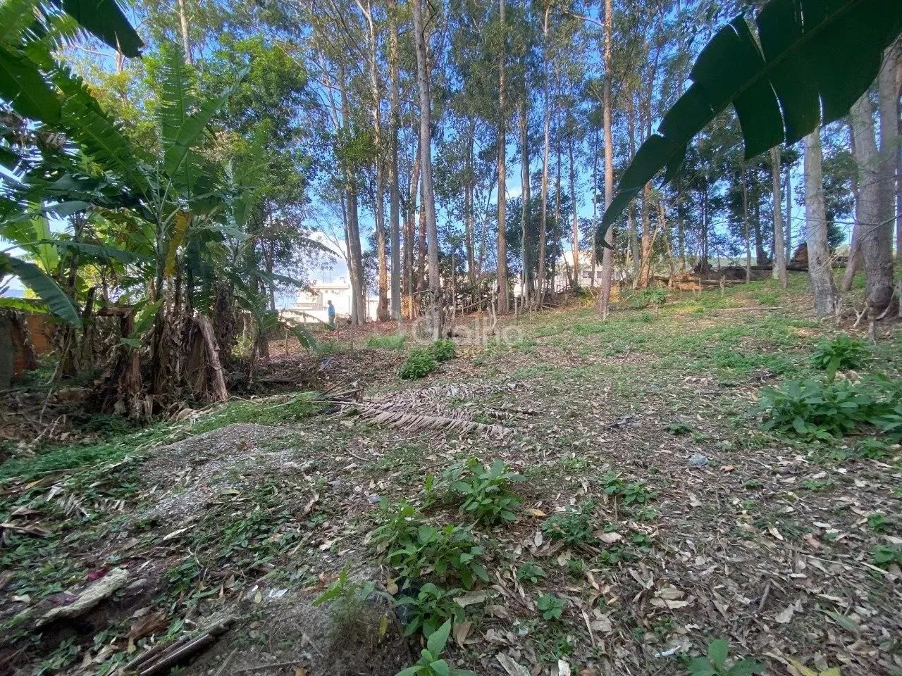 Terreno para Venda em Florianópolis, Pantanal - Foto 3