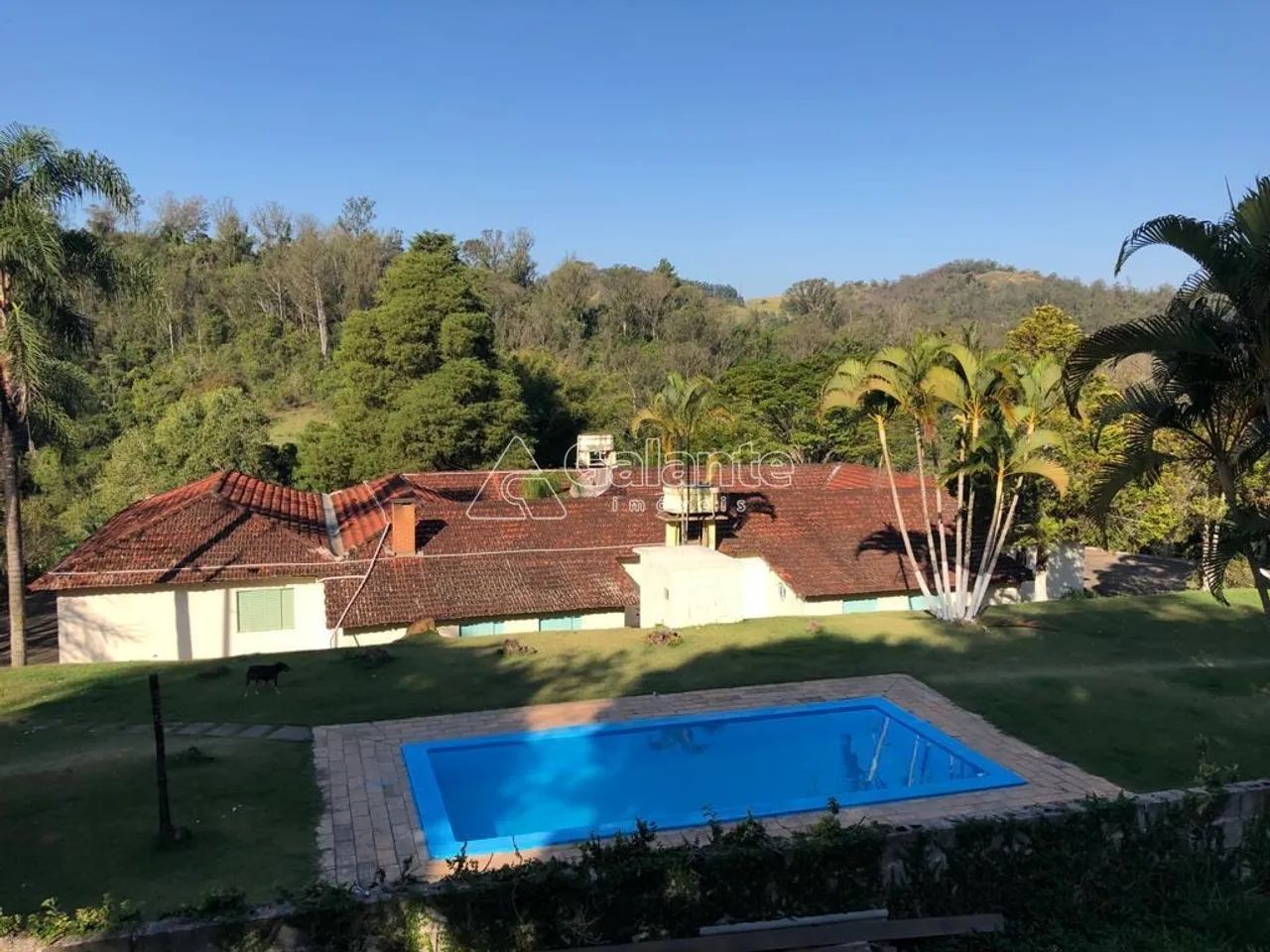 sítio - Jardim Seabra - Amparo - Foto 8