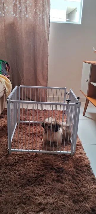 Vende-se cercado  - Foto 3