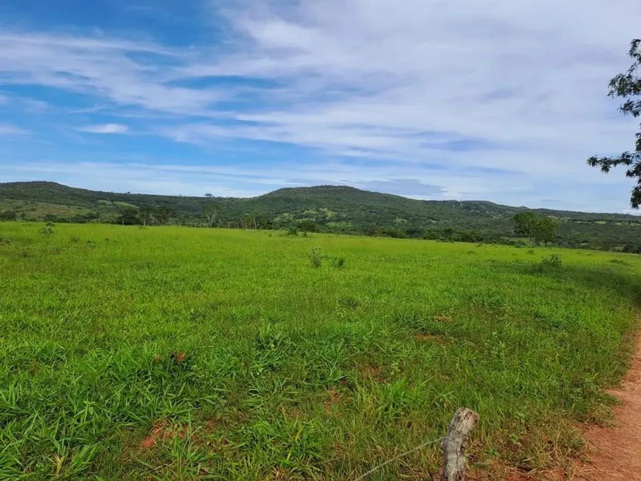 CHACARA 14,3 HA ( 3 ALQUEIRES) MUNICIPIO CALDAS NOVAS GO