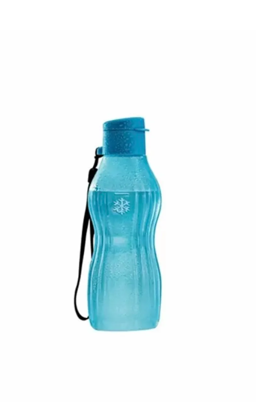 Garrafa Eco Tupper Freezer 470 ml