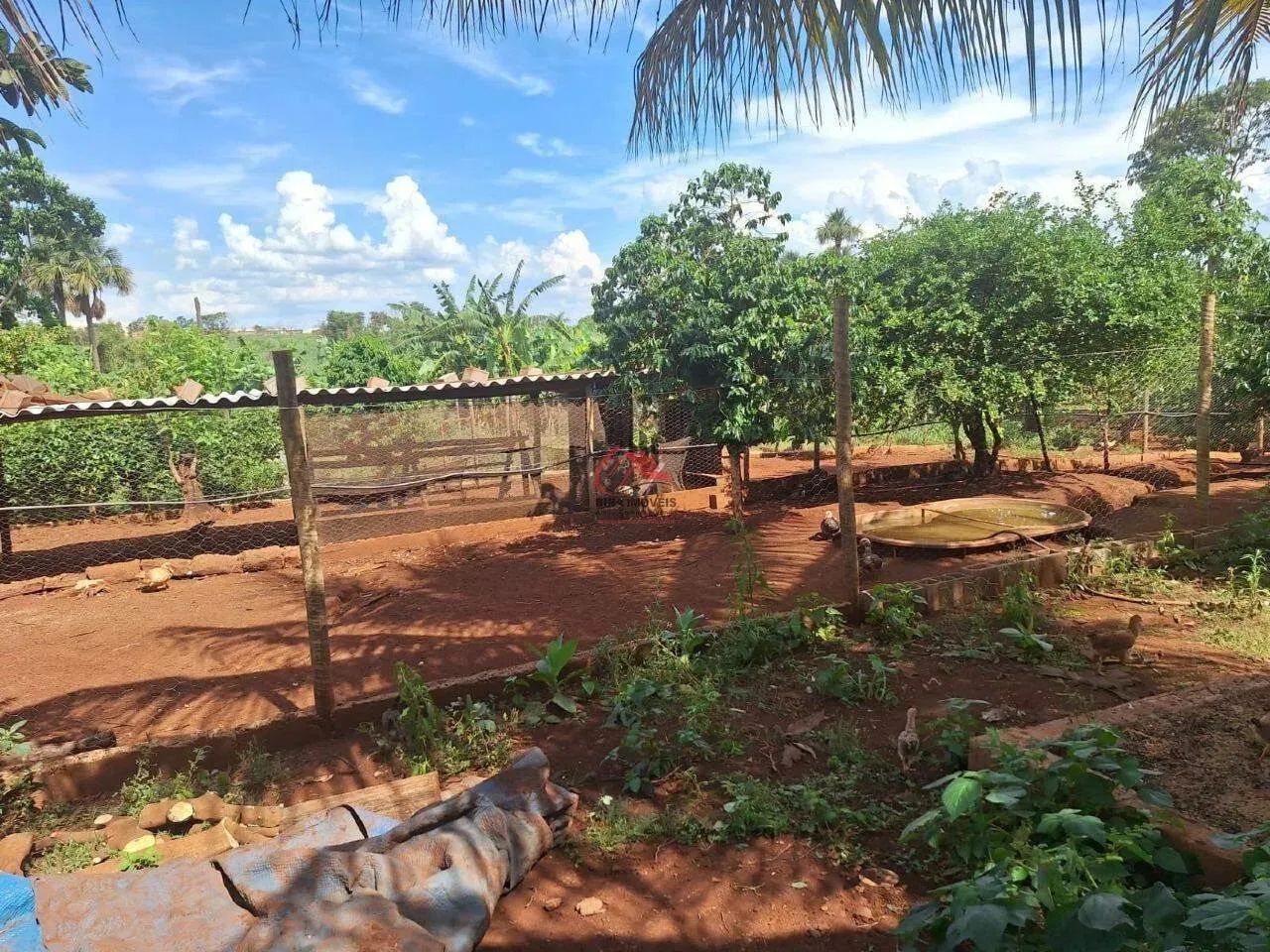 CHÁCARA A VENDA NO DISTRITO 3 - Foto 3