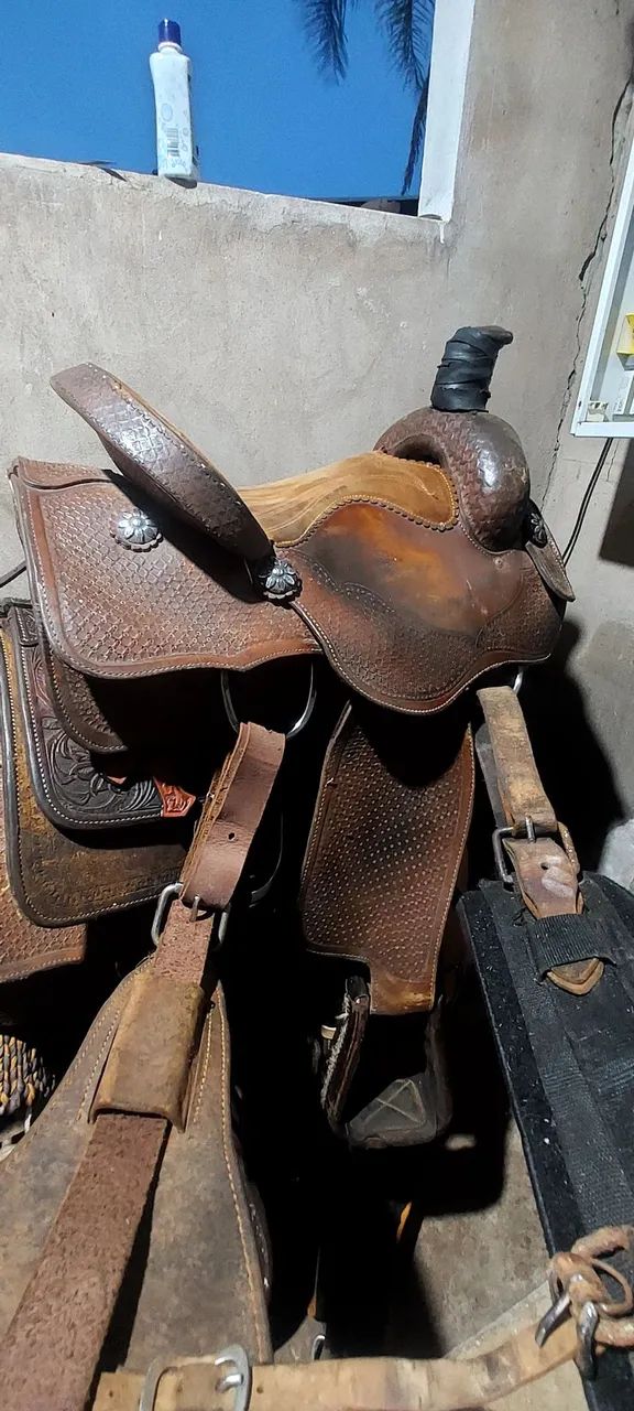 SELA NOGUEIRA(2020) - Foto 2