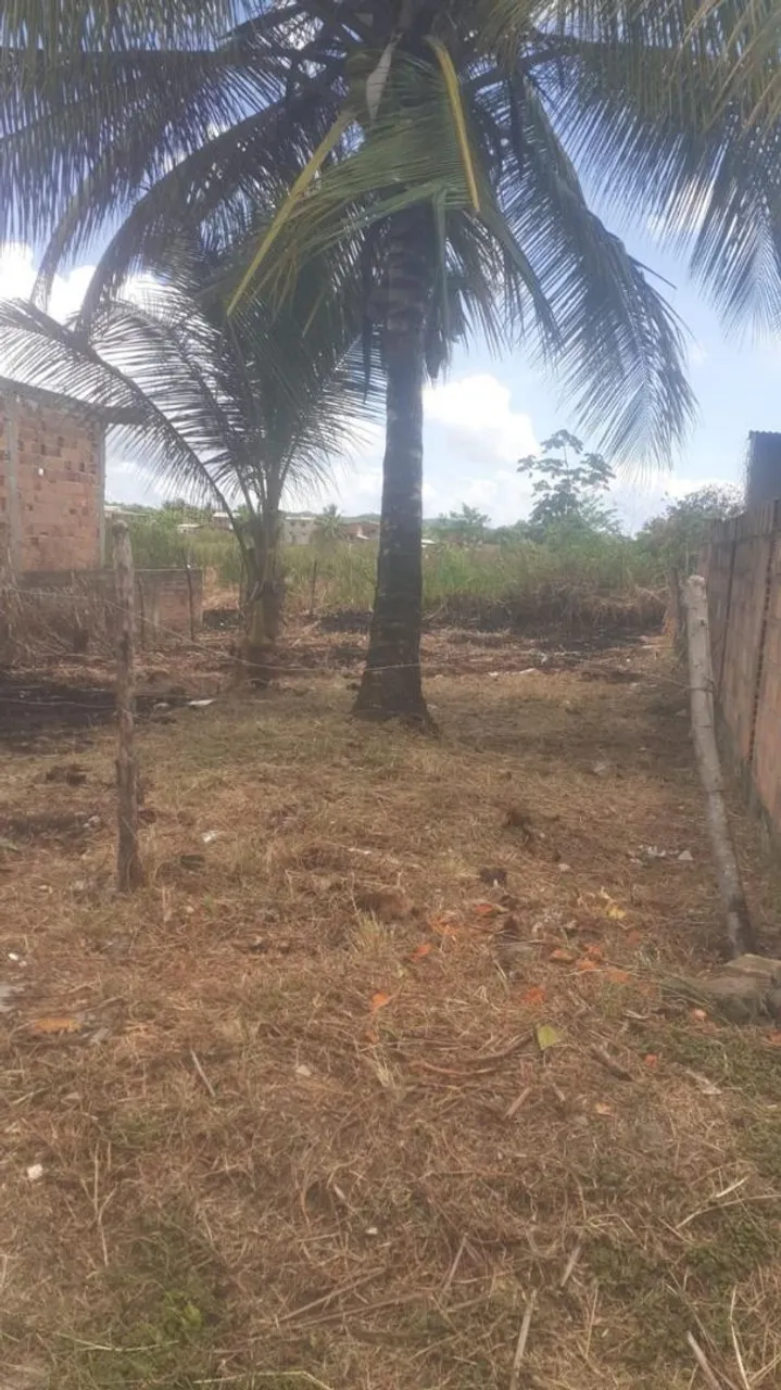 Terreno na ilha (Conceição)