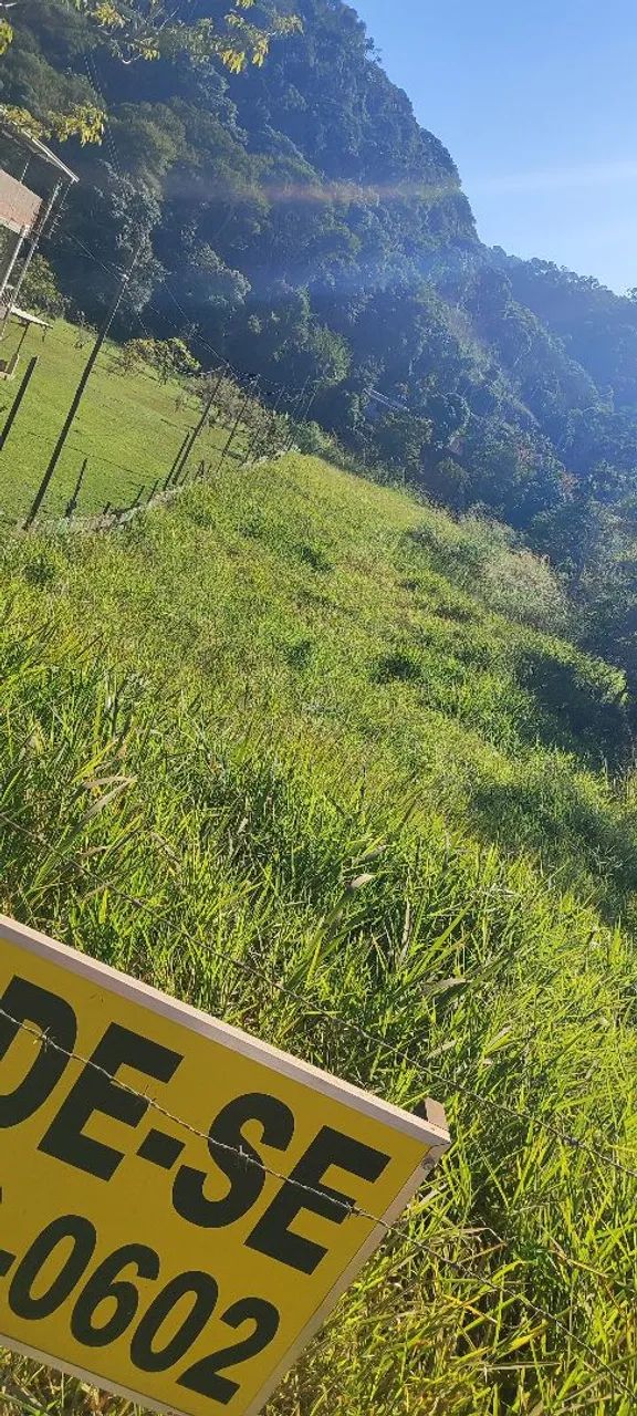 Granja com nascente em Humaitá - Foto 3